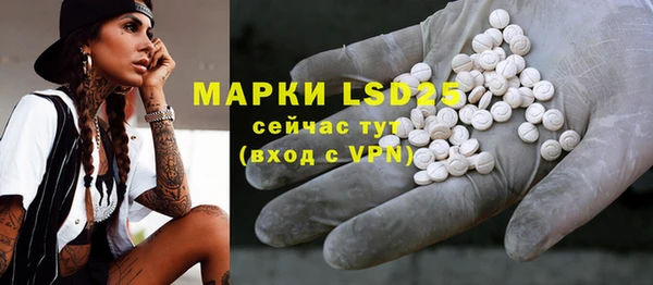 спайс Михайлов