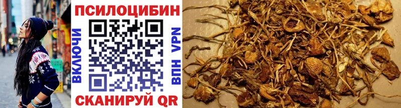 Псилоцибиновые грибы MAGIC MUSHROOMS  hydra рабочий сайт  Калачинск 